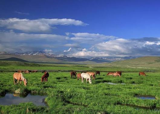 Alpine lake scenery near Deosai, Skardu Gilgit-Baltistan