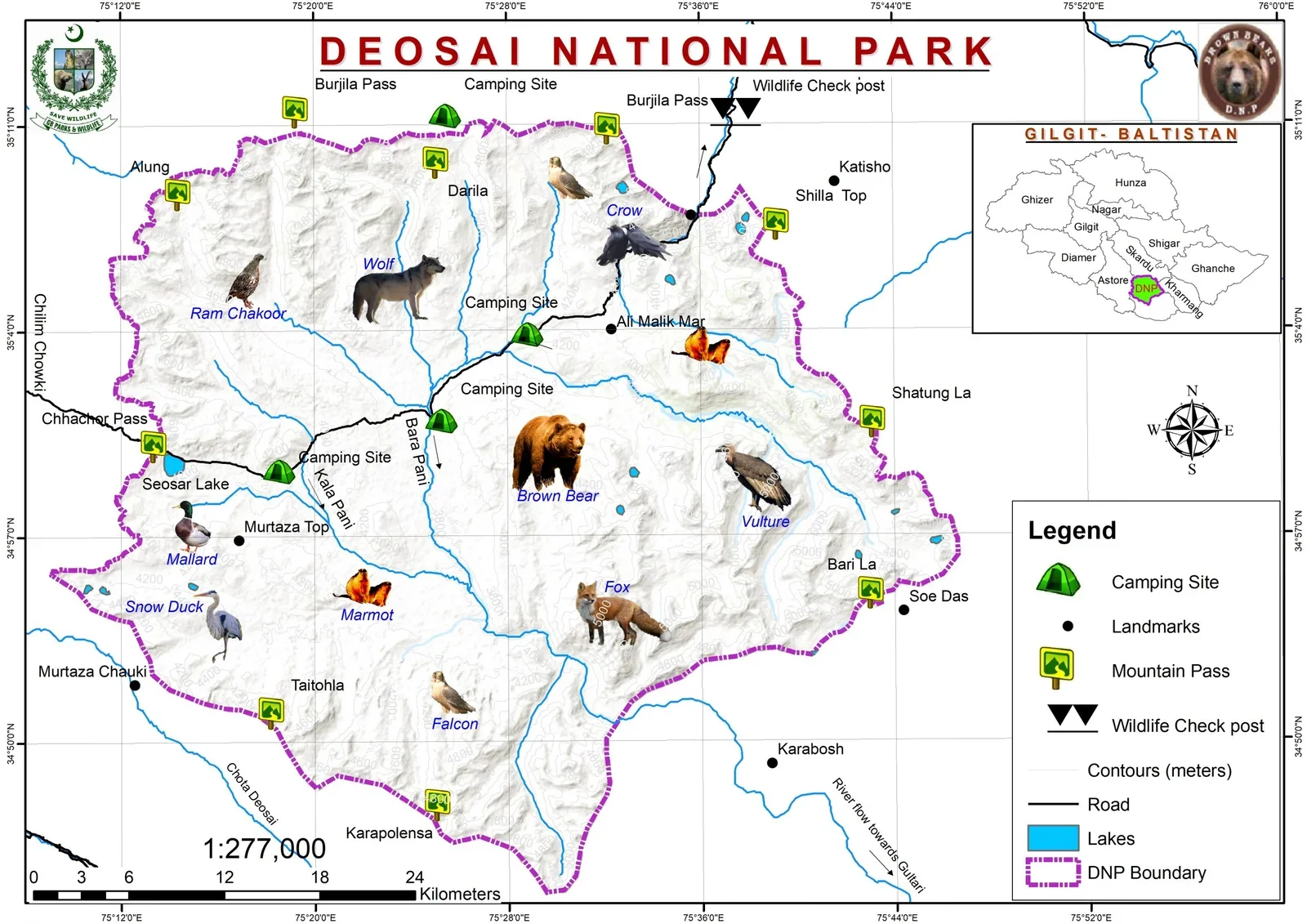 Official Deosai National Park map showing camping sites, mountain passes, wildlife check post, lakes, roads, park boundary, and commonly sighted wildlife including brown bear, wolf, fox, vulture, and marmot